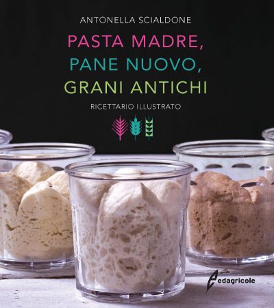 Pasta-Madre-Pane-Nuovo-Grani-Antichi-di-Antonella-Scialdone
