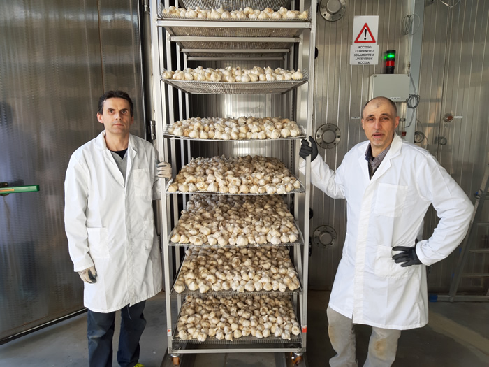 Nero di Voghiera: l'aglio fermentato diventa un elisir di benessere - La  Gazzetta del Gusto