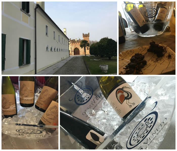 Vini da terre estreme 2020: vini eroici a Mogliano Veneto