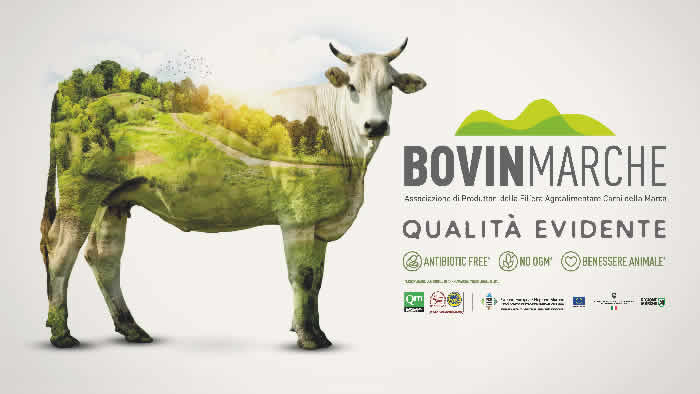 Carne di Razza Marchigiana: Bovinmarche lancia la linea Skin