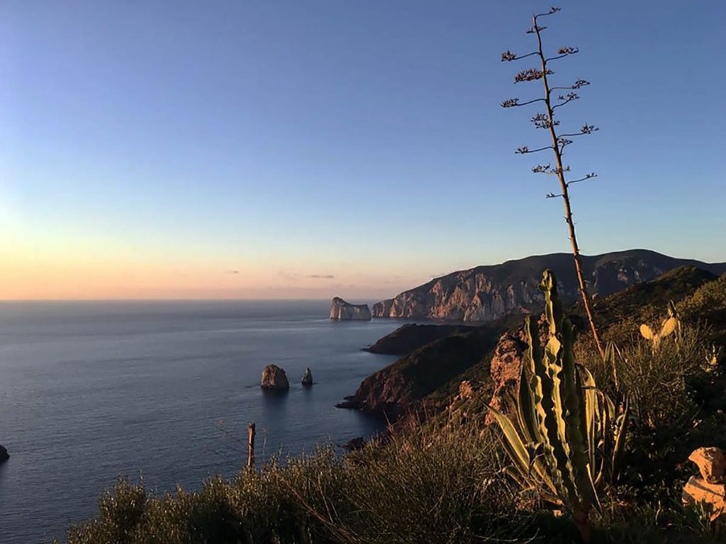 Enoturismo in Sardegna: prospettive di una risorsa da valorizzare