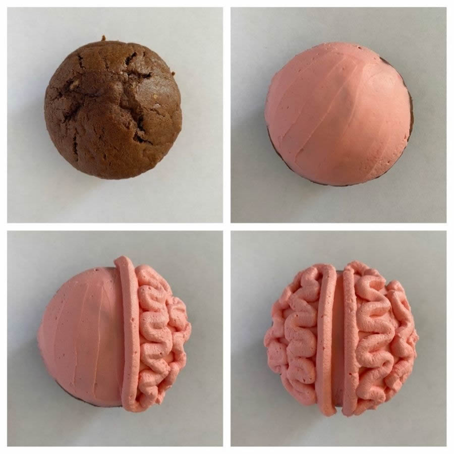 Muffin a forma di cervello pr Halloweeen