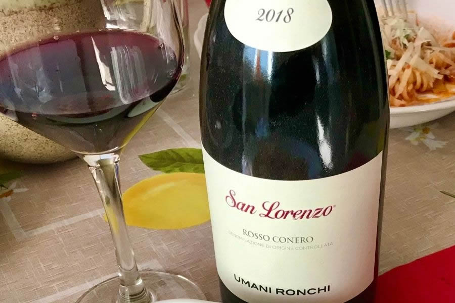6 vini delle Marche da provare, dal Verdicchio al Rosso Conero