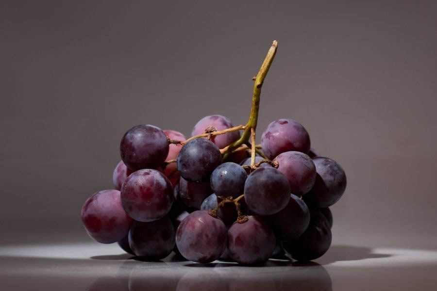 Cosa sono i tannini nel vino? Come funzionano e tipologie
