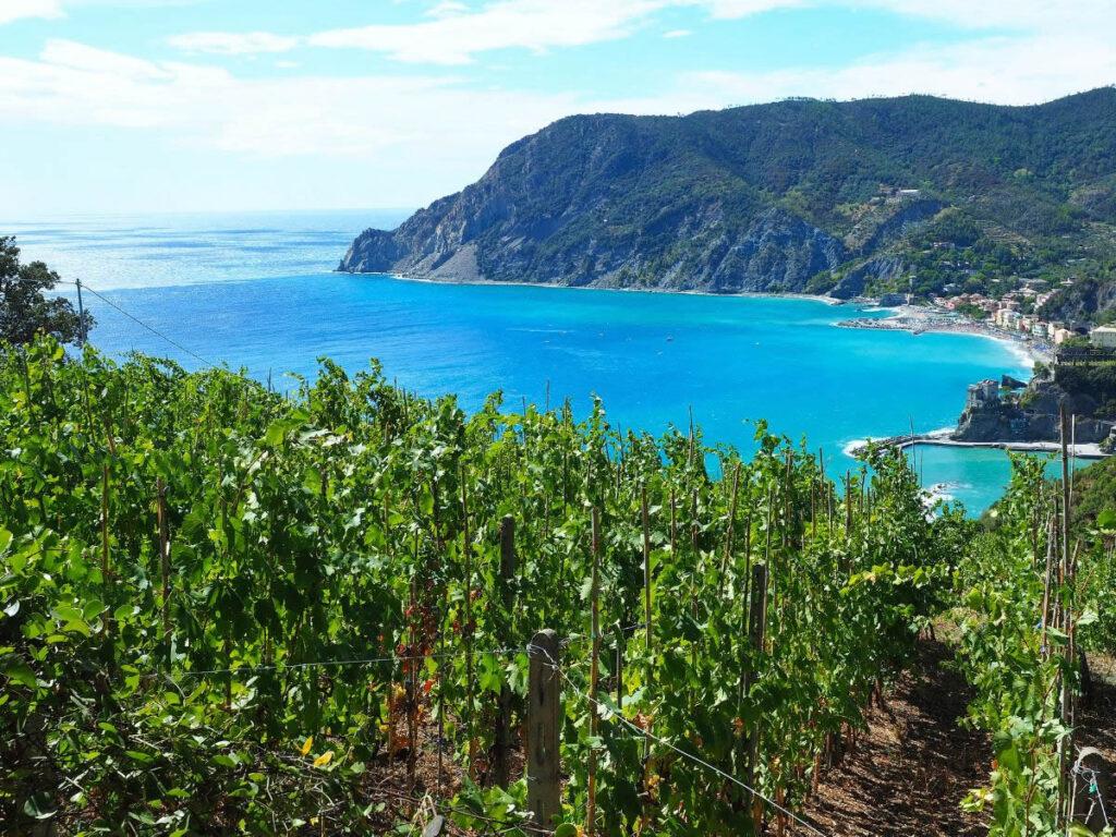 Enoturismo in Liguria: 5 mete da non perdere per winelover