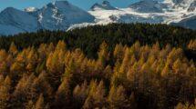 Parco Nazionale Gran Paradiso: in quali stagioni visitarlo