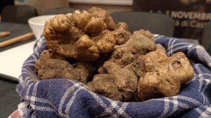 Città di Castello pronta per il Salone del Tartufo Bianco