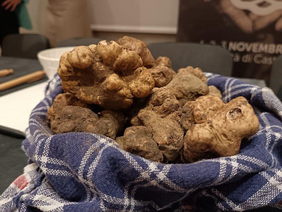 Città di Castello pronta per il Salone del Tartufo Bianco