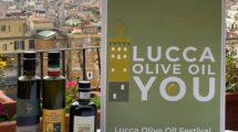 Locandina di Lucca Olive Oil You