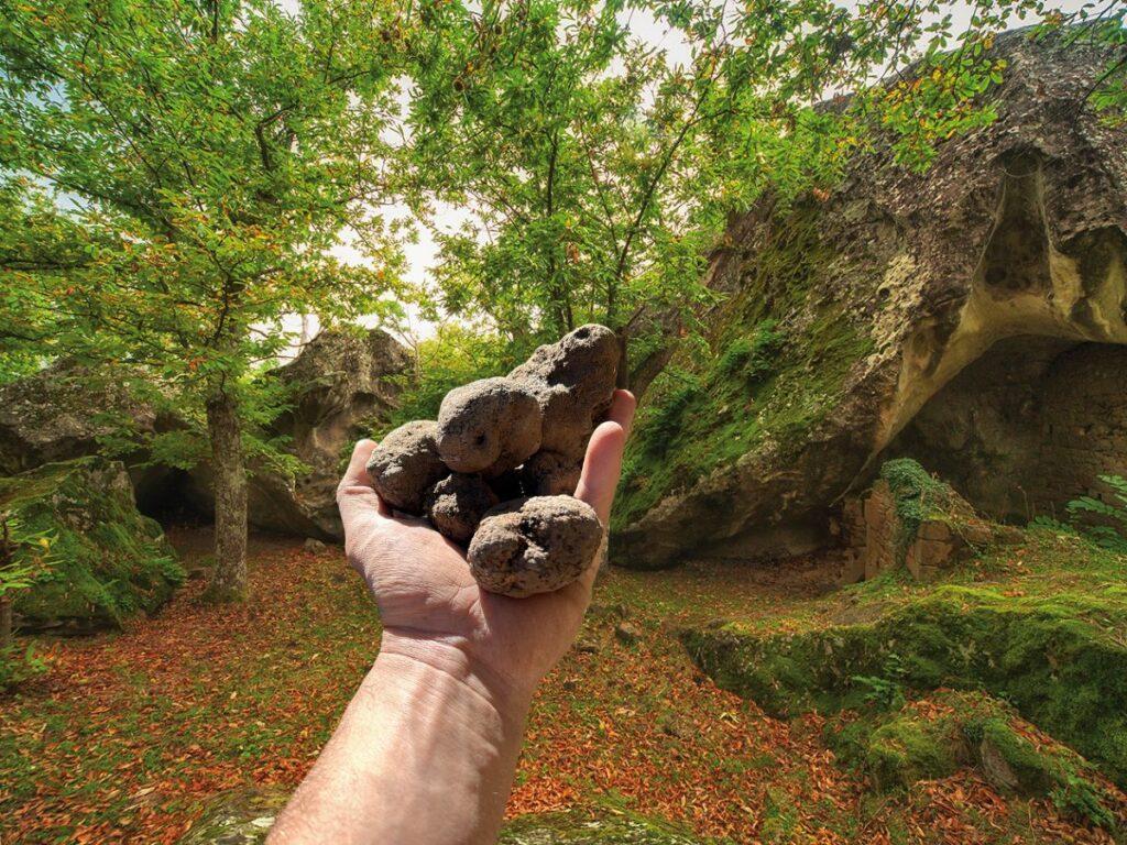 Tartufo Nero Festival, Roccafluvione celebra il suo oro nero